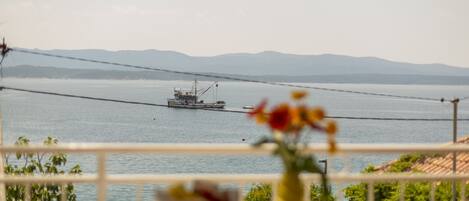 A1(4): vue de la terrasse