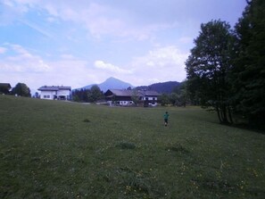 Övrigt