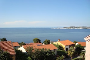 Beach/ocean view