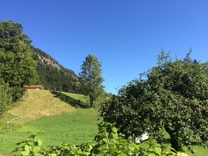 Ferienwohnungen Landinger (DE Aschau im Chiemgau) - Landinger Josef - 40124-Aussicht auf die Berge