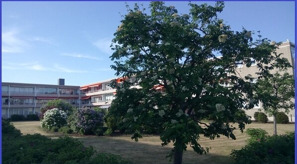 Boendeområde