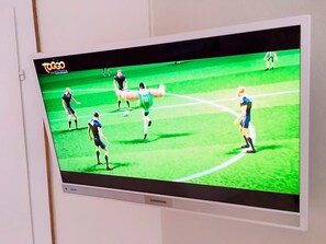 Television