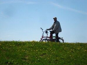 Nicht klassifiziertes Bild, 5 von 15, Schaltfläche