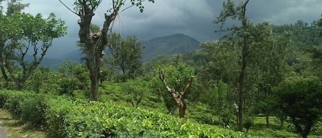 Jardines del alojamiento