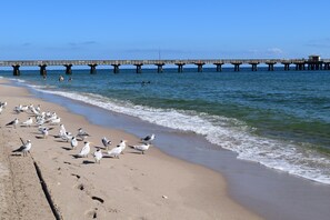 Amazing Pompano Beach Pier , beautiful dining right on the beach ,shops nearby