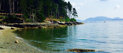 The front yard beach, where you can launch your kayak or sun bathe for the day.