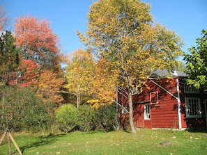 autumn color near barn