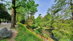 Leaf, Vegetation, Shrub, Groundcover, Garden, Woody Plant, Trail, Walkway, Botanical Garden, Woodland