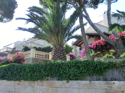 Free-standing villa w/pool, 3 sun terraces, 100 m from beach