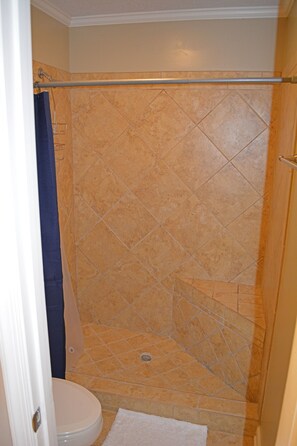 Master Bath Shower