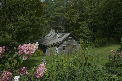 Stetson Hollow Cabin By Stetson Brook