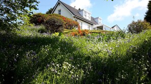 Looking up to the cottage from the huge garden.  Bluebells nearly out!