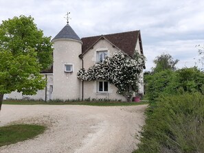 Façade et rosier