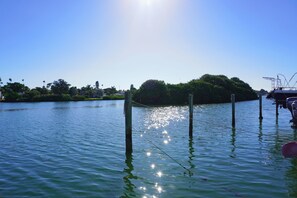 You have a wonderful of Bird Island outside your Balcony, this photo was taken from the Dock.