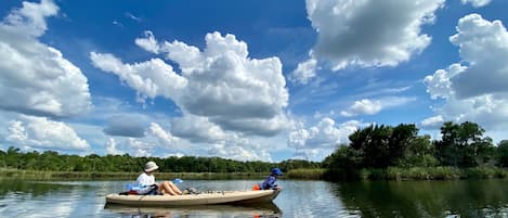 Guest photo. Kayaking the beautifulHalls River.