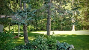 Beautiful private backyard
