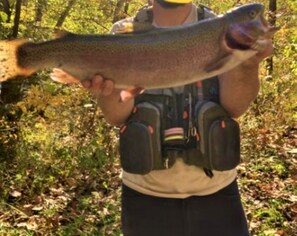 caught on the section of the Shaver's Fork where this property is located