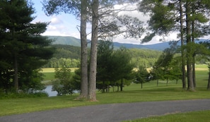 View from Porch