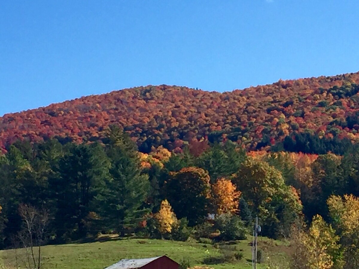 Minutes from Manchester Village/Center; near Stratton and Bromley Mtns