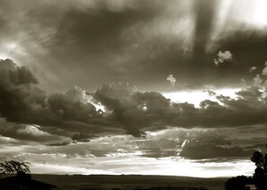 Oklassificerad bild, 3 av 50, knapp