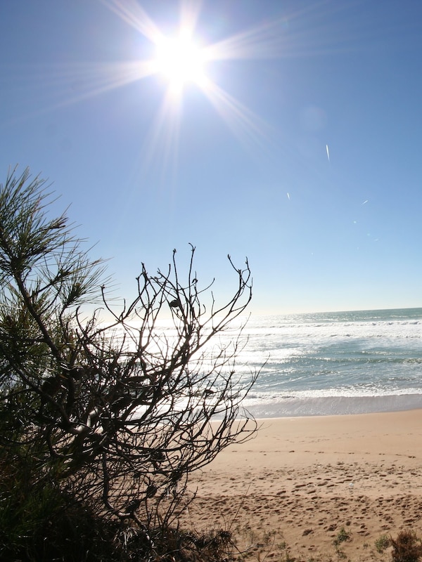 Strand