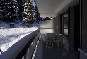 Terrace / Balcony