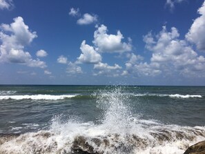 The beach outside the garden