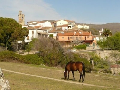 Rural apartment La Noguera for 17 people