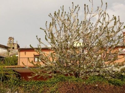 Rural apartment La Noguera for 17 people