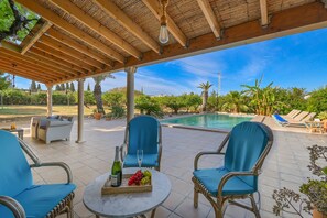 Terrace and pool