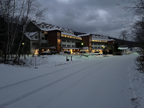 Early morning walk yesterday (11/30/21) with some newly fallen snow!