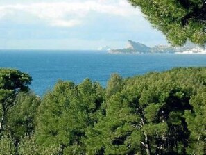Vue du domaine , au cœur de la pinède , le Bec de L aigle de la Ciotat
