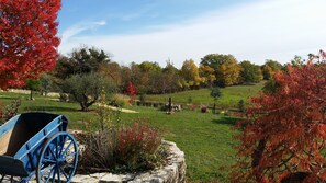 VUE DE LA TERRASSE