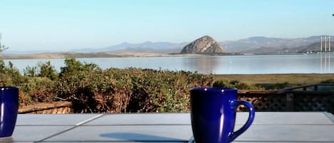 Enjoy this view of the bay every morning with your coffee and the birds 