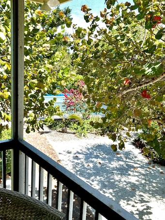 View From Porch
