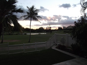 Evening View From The Patio