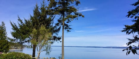 Our resident eagle on his perch! Breathtaking -Southwest views and Mt. Baker too