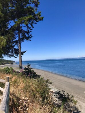 North view - East Beach