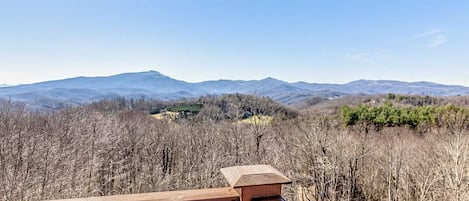 Mountain Views from the Rear Decks of Stone Ridge Lodge

(See note on Winter Access in Description)