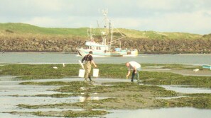 clamming out front