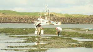 clamming out front