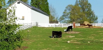 Beautiful Farm House Located On 12 Acres Of Farm Property.