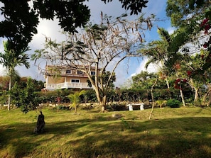 Enjoy the lush vegitation of the property with fresh fruits and vegetables.