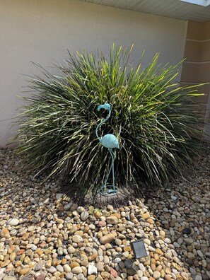 The Blue Flamingo