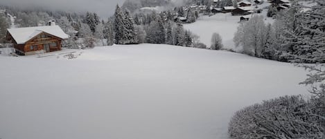 Sneeuw- en skisporten