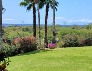 View from our lanai before the tree removal