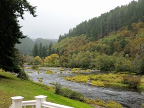 An amazing rainy day view from the porch of the Cottage.