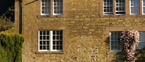 The cottage and lawn.