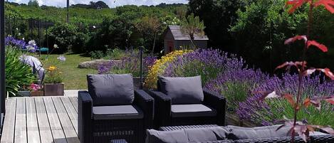 Terrazza/patio