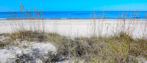 Beach in front of condo